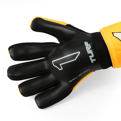RINAT SANTOLOCO TURF