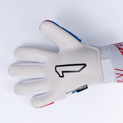 RINAT XTREME GUARD DOMINIUS TURF